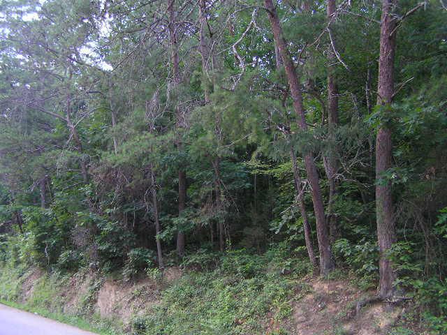 0 Forge Hideaway, Pigeon Forge, TN 37863