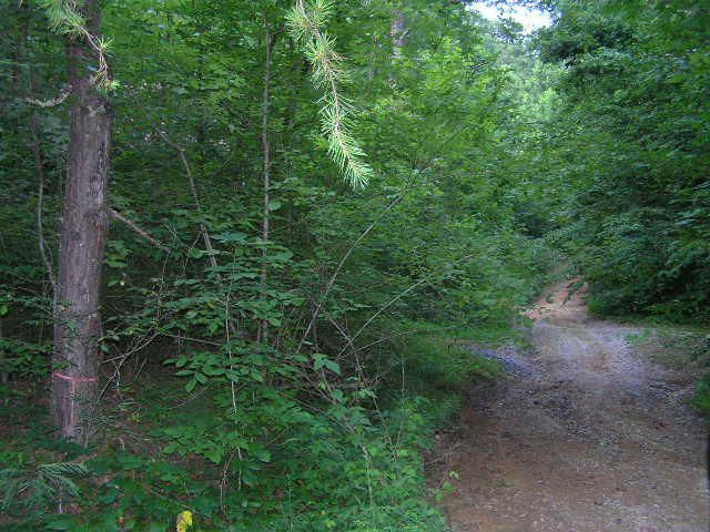 0 Forge Hideaway, Pigeon Forge, TN 37863