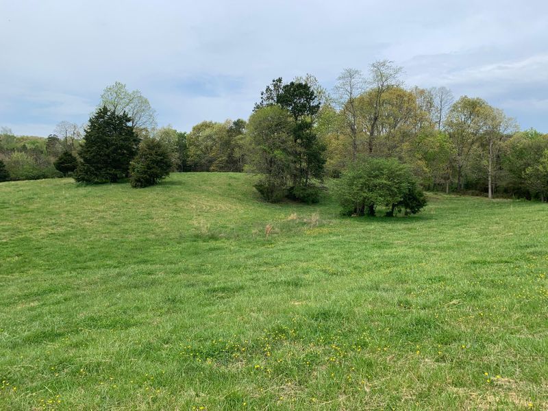 0 Fork Creek Rd, Philadelphia, TN 37846