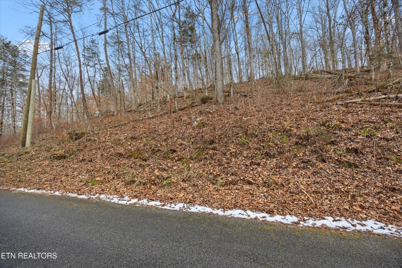 0 Fox Hollow Ln, Andersonville, TN 37705