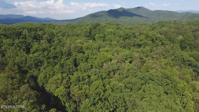 0 Fox Hunters Ln, Sevierville, TN 37876