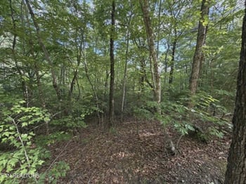 0 Fox Hunters Ln, Sevierville, TN 37876