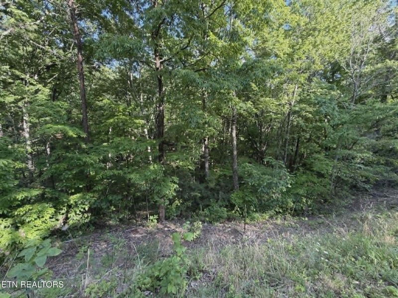0 Fox Hunters Ln, Sevierville, TN 37876
