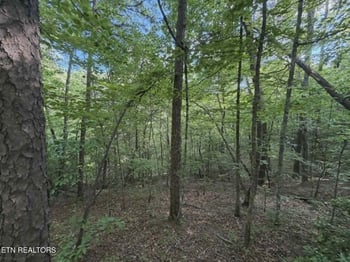 0 Fox Hunters Ln, Sevierville, TN 37876