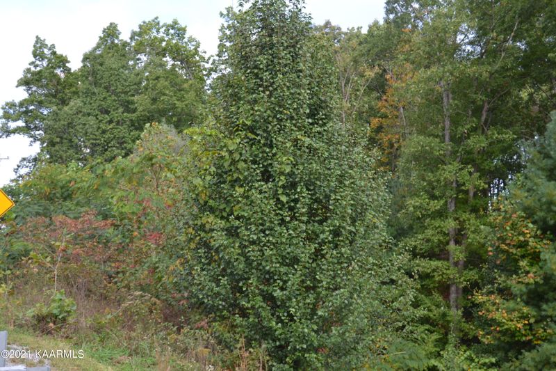0 Foxfire Rd, Crossville, TN 38555