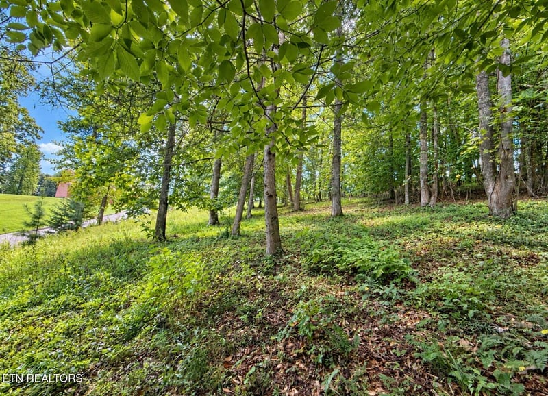 0 Foxwood Dr, Caryville, TN 37714