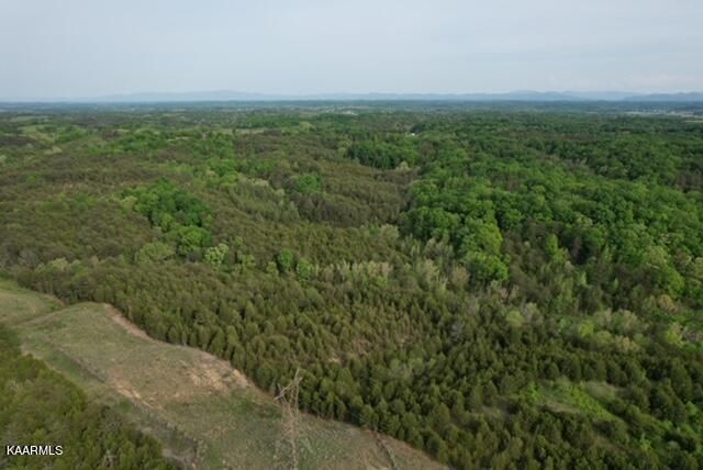 0 Fred Marshall Rd, Russellville, TN 37860