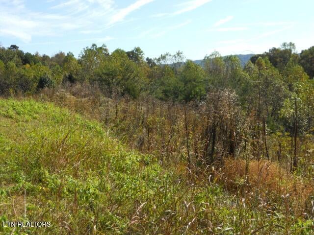 0 French Rd, Knoxville, TN 37920