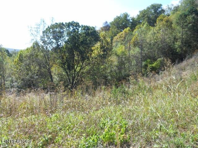 0 French Rd, Knoxville, TN 37920