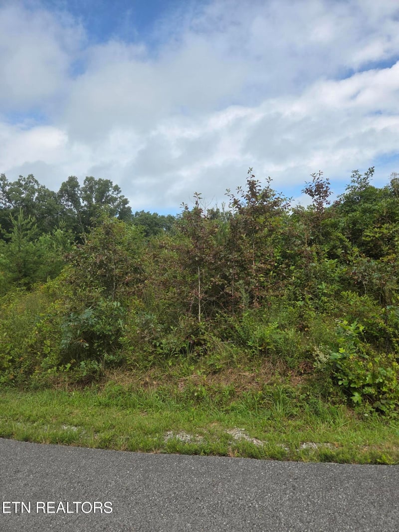 0 Frost Creek Dr, Crossville, TN 38571