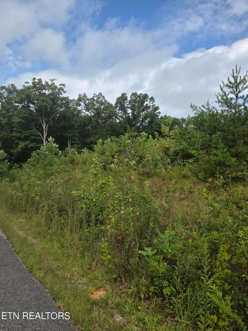 0 Frost Creek Dr, Crossville, TN 38571