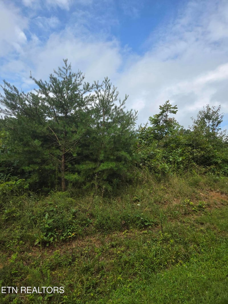 0 Frost Creek Dr, Crossville, TN 38571