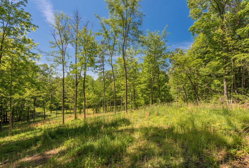 0 Fulton Rd, Corryton, TN 37721