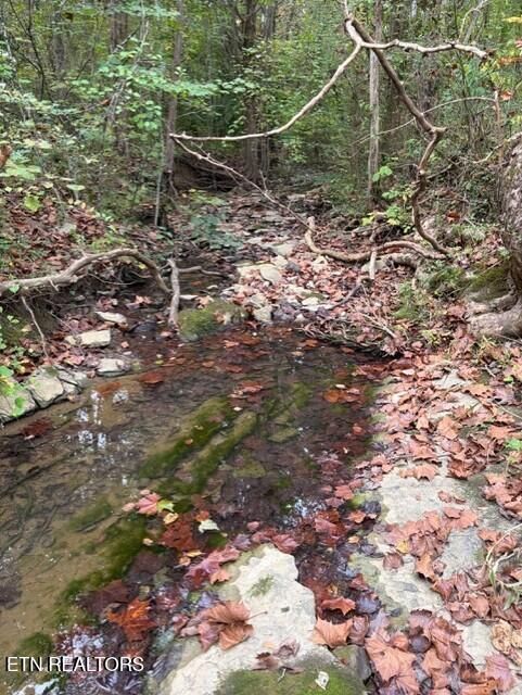 0 Gadson Ln, Powell, TN 37849