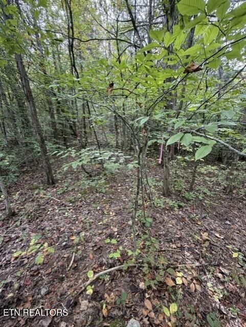 0 Gadson Ln, Powell, TN 37849