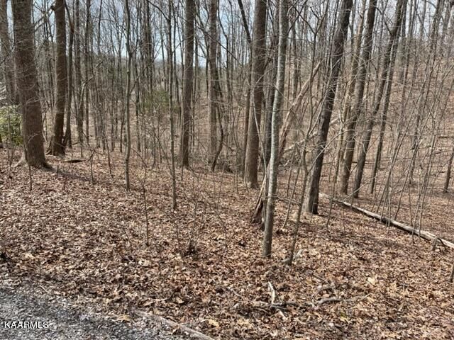 0 Gadusi Tc, Loudon, TN 37774