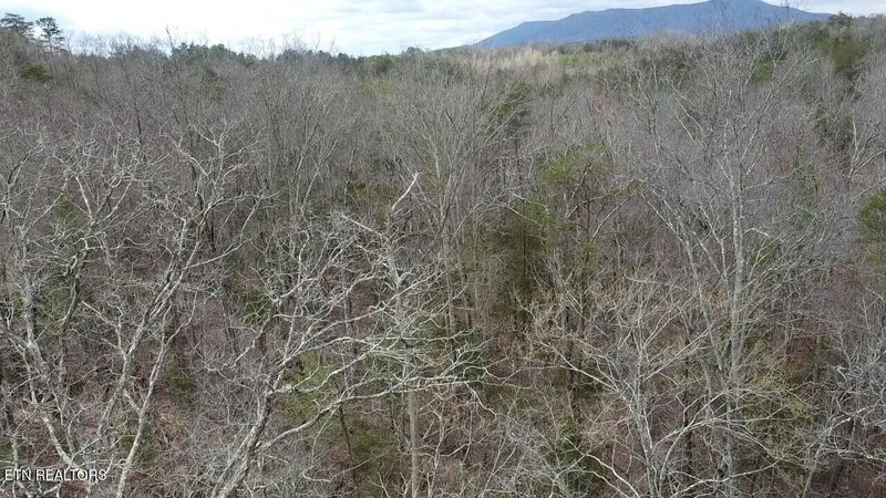 0 Gamble Gap Rd, Tellico Plains, TN 37385
