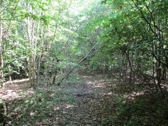 0 Gamble Ln, Harriman, TN 37748