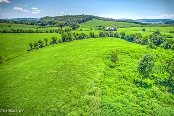 0 Gap Rd, Philadelphia, TN 37846