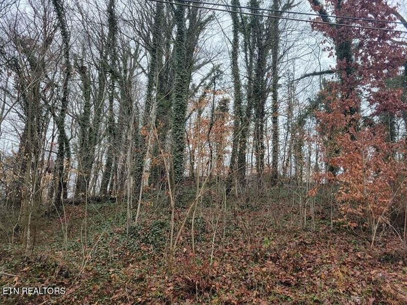 0 Garden Ave, Oliver Springs, TN 37840