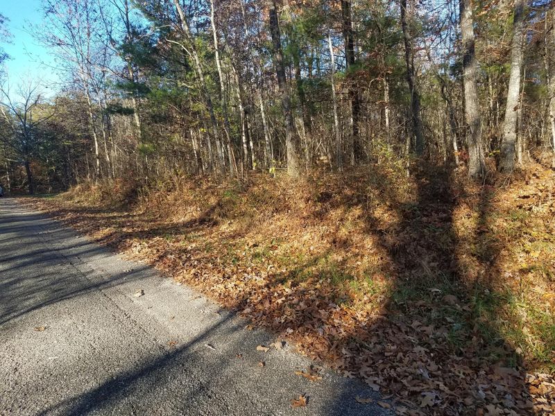 0 Gardner Rd, Deer Lodge, TN 37726