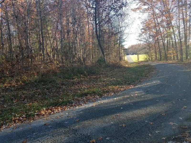 0 Gardner Rd, Deer Lodge, TN 37726