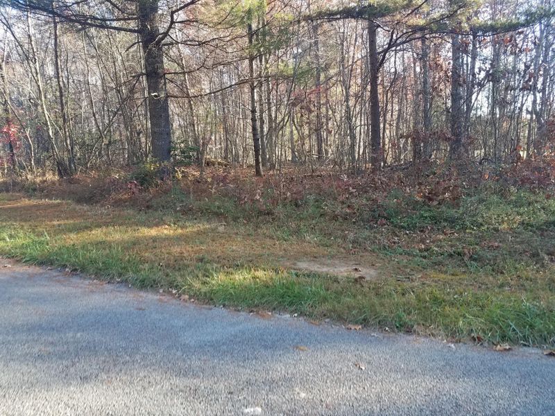 0 Gardner Rd, Deer Lodge, TN 37726
