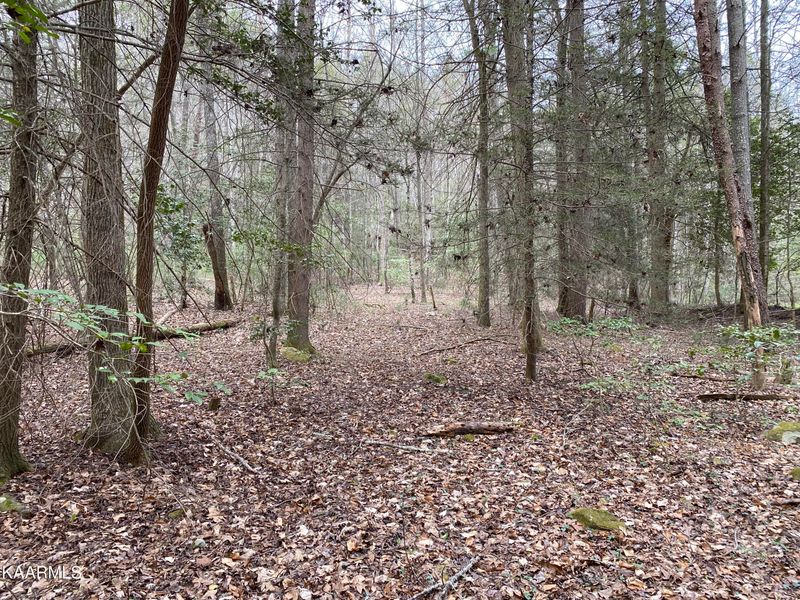 0 Garrison Rd, Grandview, TN 37337