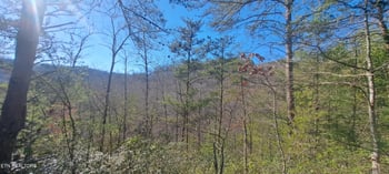 0 Geisz Way, Sevierville, TN 37862