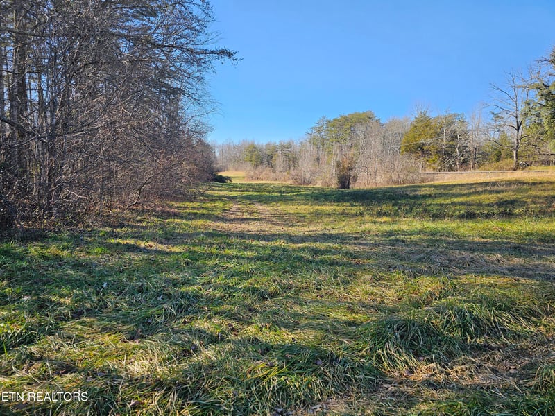 0 Genesis Rd, Lancing, TN 37770