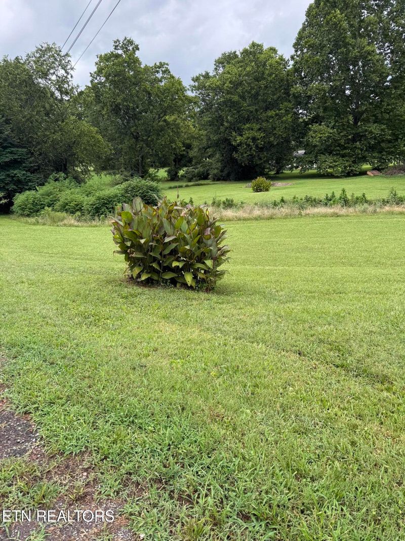 0 Georgia Ln, Knoxville, TN 37924