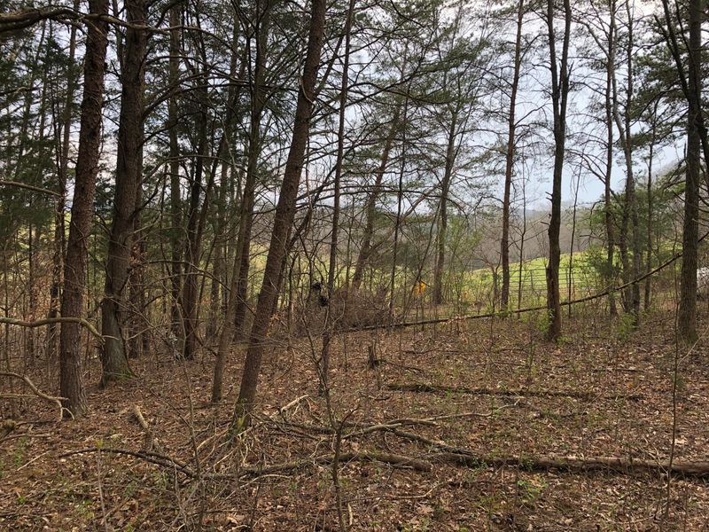 0 Georgia, Sevierville, TN 37876