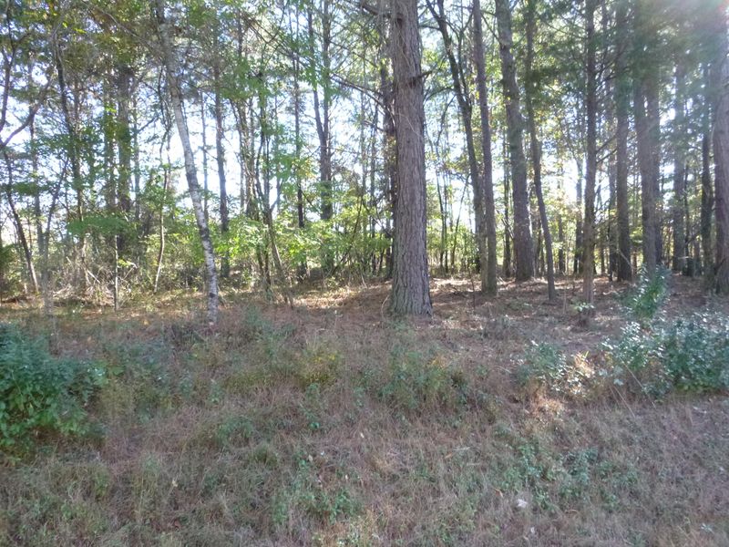 0 Gigi Ln, Loudon, TN 37774