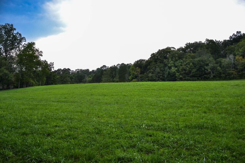 0 Glover Rd, Rockford, TN 37853