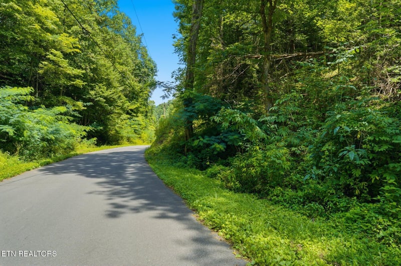 0 Gnatty Branch Rd, Sevierville, TN 37876