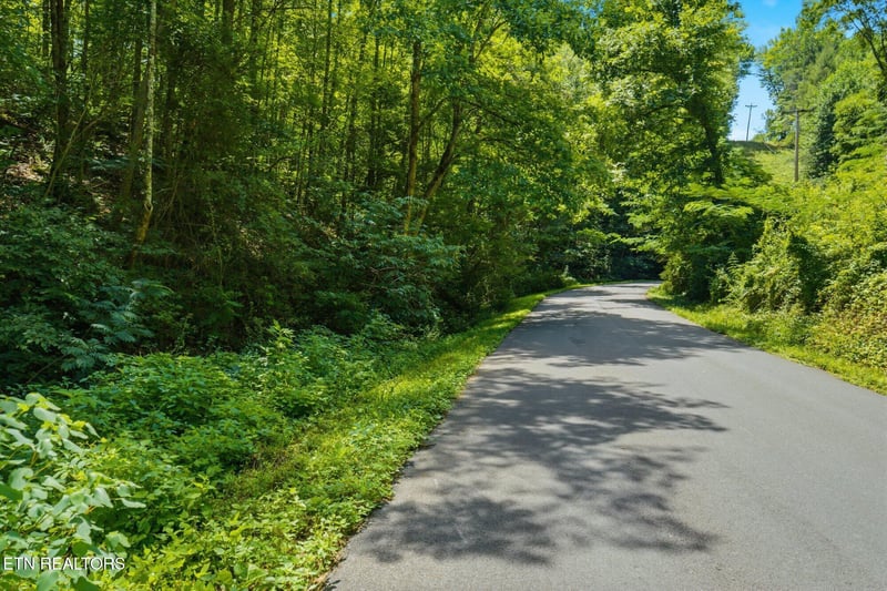 0 Gnatty Branch Rd, Sevierville, TN 37876