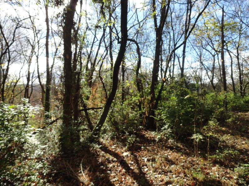 0 Goans Ave, Clinton, TN 37716