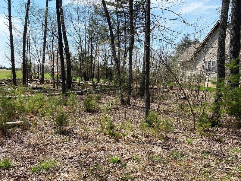 0 Golanvyi Trail Lot 5, Vonore, TN 37885