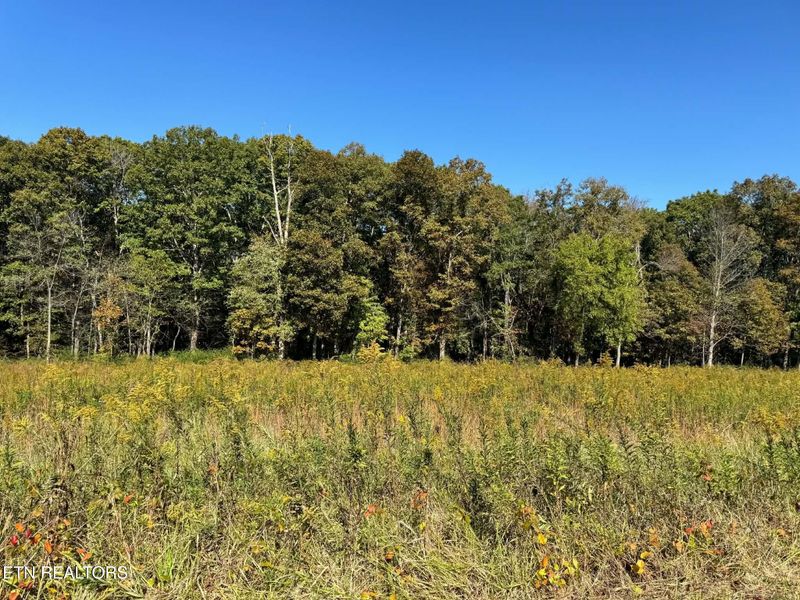 0 Golliher Rd, Rockwood, TN 37854