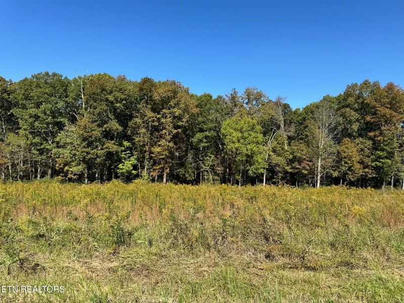 0 Golliher Rd, Rockwood, TN 37854