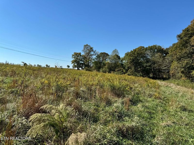 0 Golliher Rd, Rockwood, TN 37854