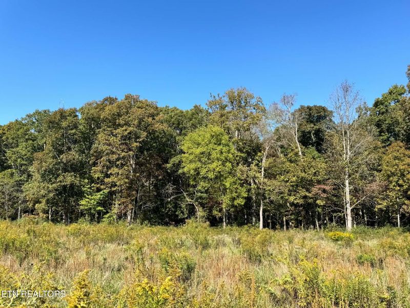 0 Golliher Rd, Rockwood, TN 37854