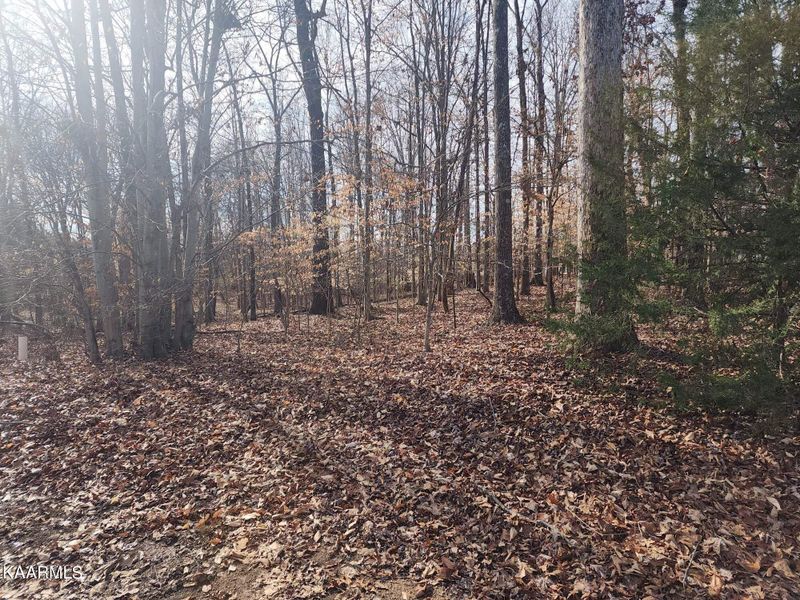 0 Goweli Tr, Vonore, TN 37885