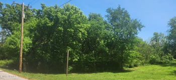 0 Grade Rd, Rockford, TN 37853