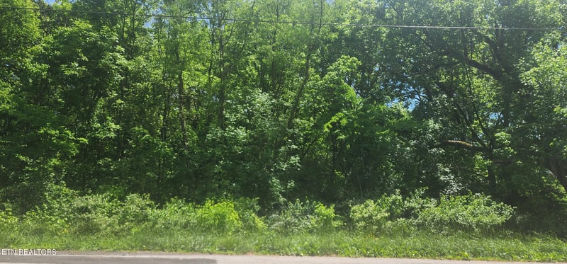 0 Grade Rd, Rockford, TN 37853