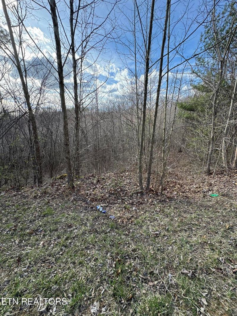 0 Grape Rough Rd, Oneida, TN 37841