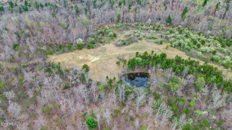 0 Grassy Knob Rd, Robbins, TN 37852