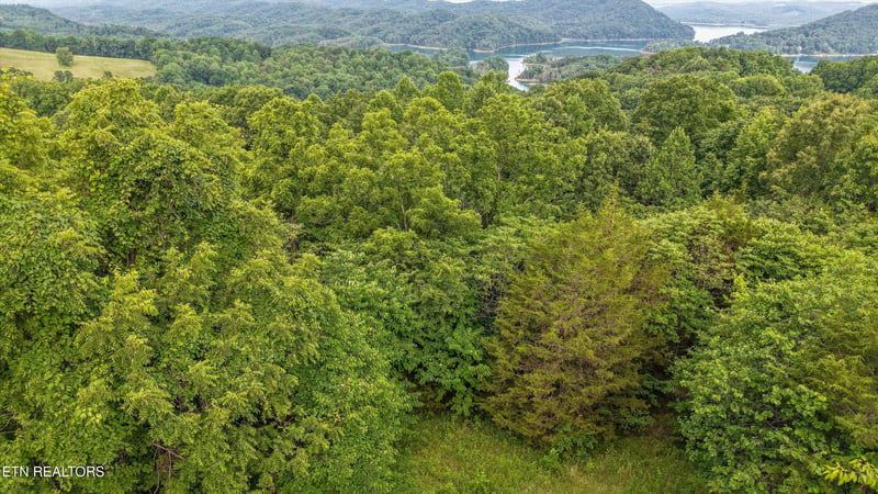 0 Graves Hollow Rd Lot 1, Maynardville, TN 37807