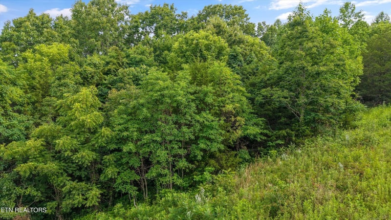 0 Graves Hollow Rd Lot 1, Maynardville, TN 37807