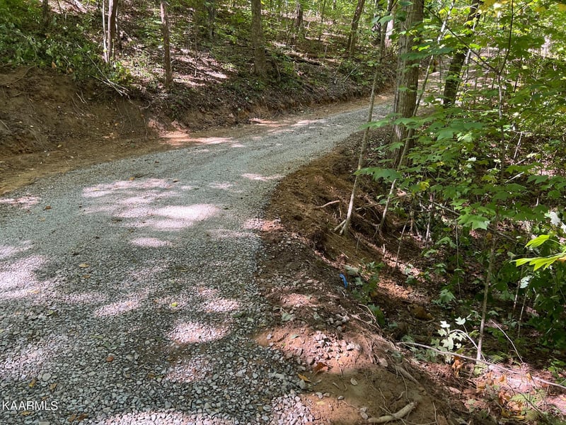 0 Green Pl #4, Monterey, TN 38574
